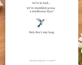 Needlenose Flyer™ Card, Hummingbird Greeting Card, Meaningful Thinking of You Card, Minimalist Nature Card