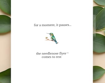Needlenose Flyer™ Card, Hummingbird Greeting Card, Meaningful Thinking of You Card, Minimalist Nature Card