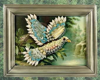 Beaded Bird Art: Framed Vintage Illustration, Recycled Frame, Birds, Parrot, Dove
