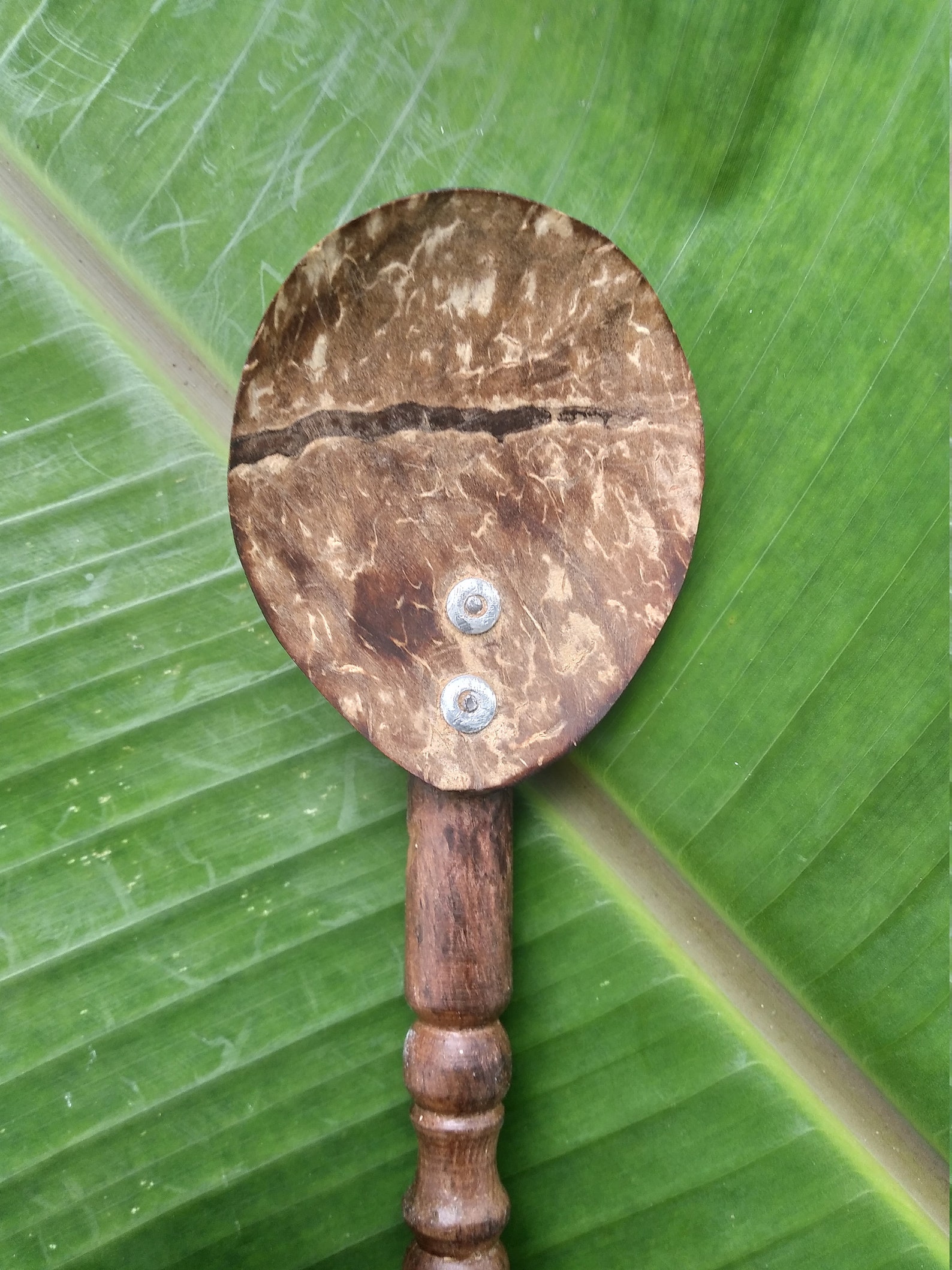 Handmade Coconut Shell Spoon Beautiful Wood Handle Eco Etsy