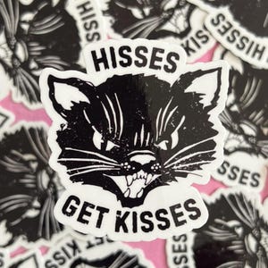 Hisses Get Kisses Sticker, Cat Sticker, Cat Lover Gift, Vet Tech Stickers, Funny TNR Sticker, Waterproof Sticker, Laptop, Water Bottle image 1