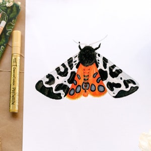 Garden Tiger Moth Art Print- Minimalistic Moth Illustration- Moth Wall Décor