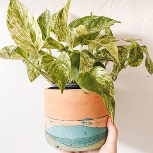 Tulum Planter Concrete Planter Cement Planter Minimalist Planter Indoor Planter Plant Pot Handmade Planter Boho Planter image 5