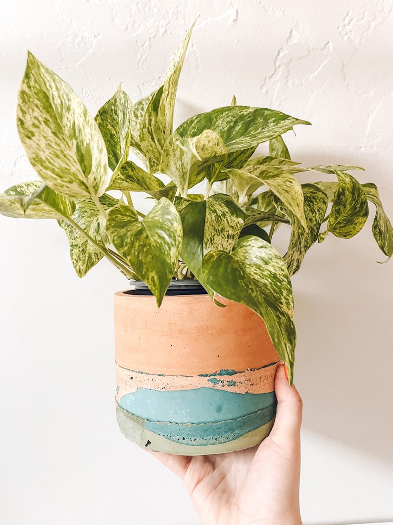 Tulum Planter Concrete Planter Cement Planter Minimalist Planter Indoor Planter Plant Pot Handmade Planter Boho Planter image 5