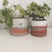 see more listings in the Planters section