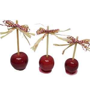 May include: Three red candy apples on sticks with a red and white twine bow and shredded paper on each stick.