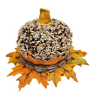 Fall Fake Cake: Pumpkin Decor, Photo Prop, Coffee Bar Display