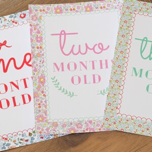 May include: Three white cards with floral borders and scalloped edges. The cards are labeled "one month old", "two months old", and "three months old" in pink, red, and green lettering.