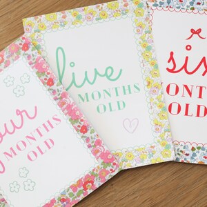 May include: Three white cards with floral borders and pink, green, and red text. The cards say "four months old", "five months old", and "six months old".