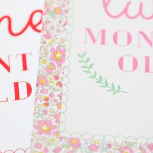May include: Two white cards with pink text. The top card says "two month old" and the bottom card says "one month old". Both cards have a floral border.