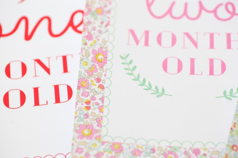 May include: Two white cards with pink text. The top card says "two month old" and the bottom card says "one month old". Both cards have a floral border.