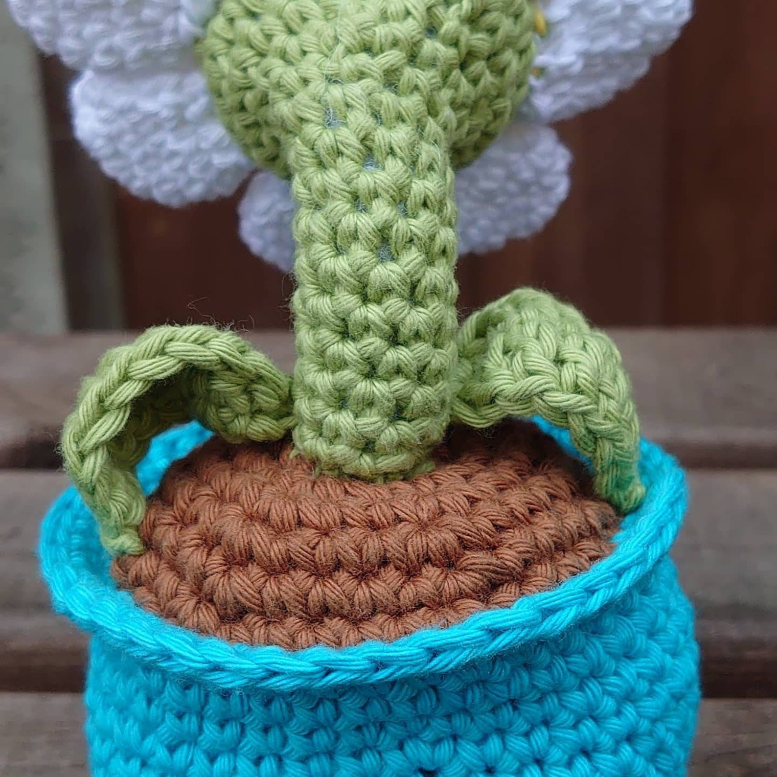 Handmade Crochet Daisy Flower in a Pot. Etsy