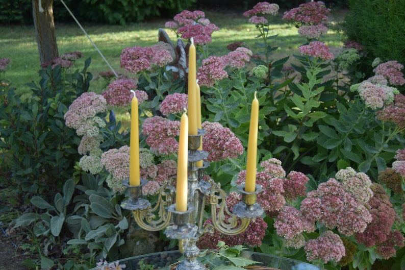 4 X Handmade Beeswax Dripless Taper Candles 4 Dinner Candle Etsy