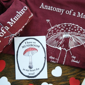 Mushroom Anatomy Regalo de San Valentín / Amante de la naturaleza Niños de educación en casa presentes
