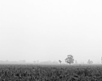 Misty Tree Landscape Photography Print - Peak District Art (Digital Download)