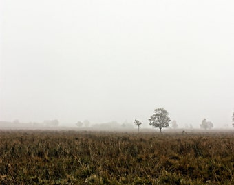 Misty Tree Landscape Photo: Peak District Wall Art (Digital Download)