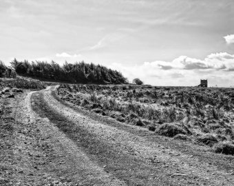 Longshaw Estate Landscape Print: Peak District Black & White Photography (Digital Download)