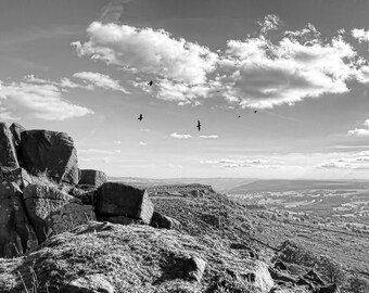 Crow Formation Black and White Landscape Photography Print (Digital Download)