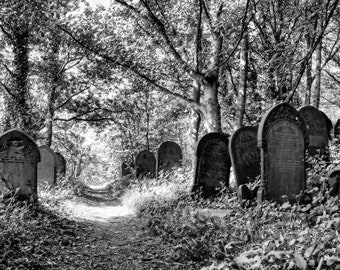 Wardsend Cemetery Print: Sheffield UK, Vintage Black and White Photography (Digital Download)