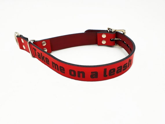 G8DBOY Leather Collar - BDSM, Chocker, Puppy Play, Restraints