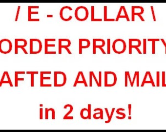Additional fee for Electric Collar order prioritization.