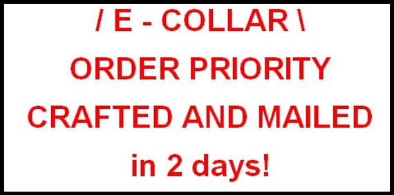 Additional fee for Electric Collar order prioritization.