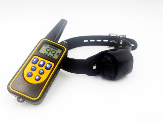 leather shock collar