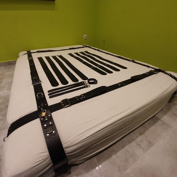 Asylum Restraints - Etsy