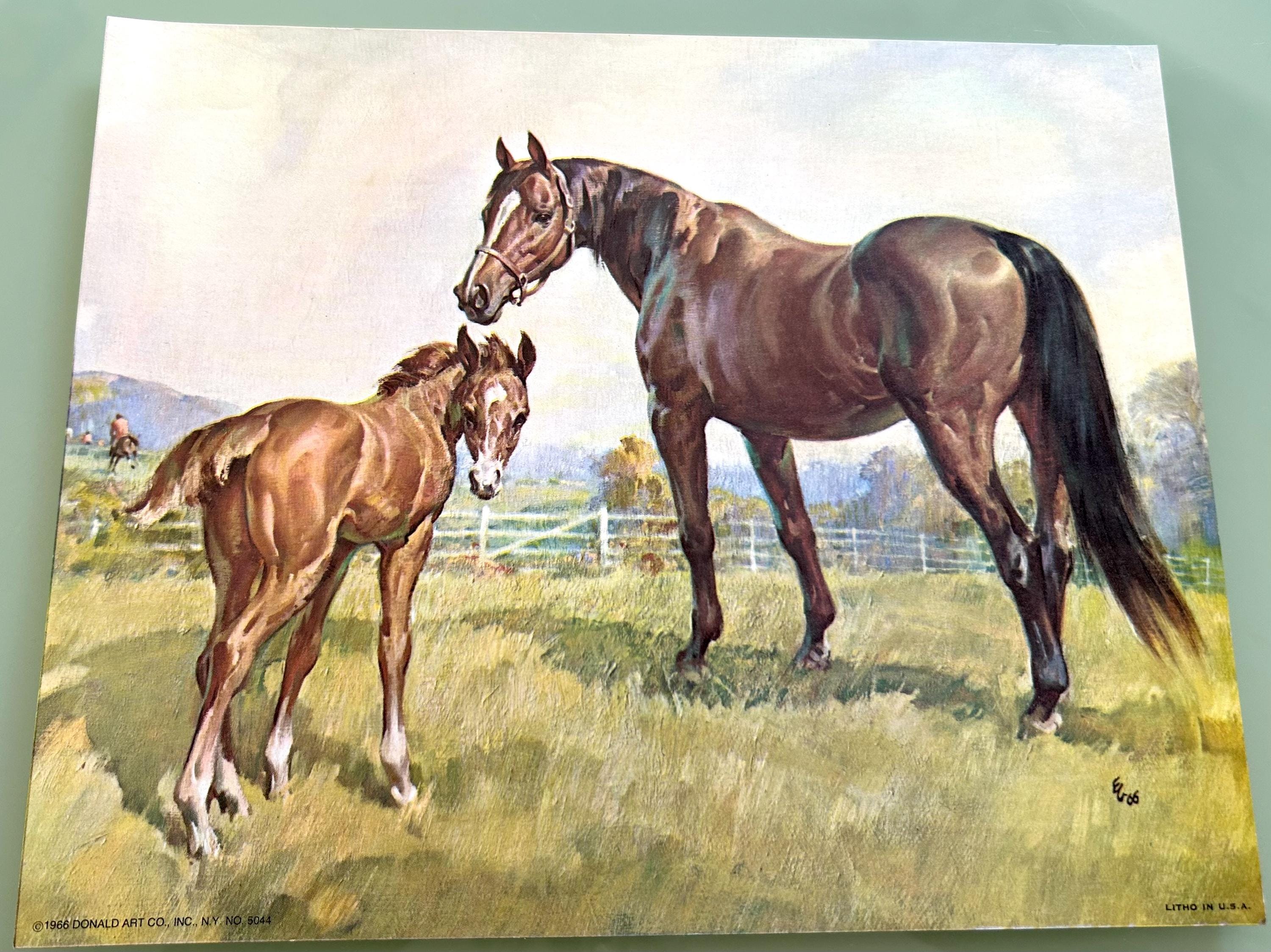 Donald Art Co Ny Usa - Etsy