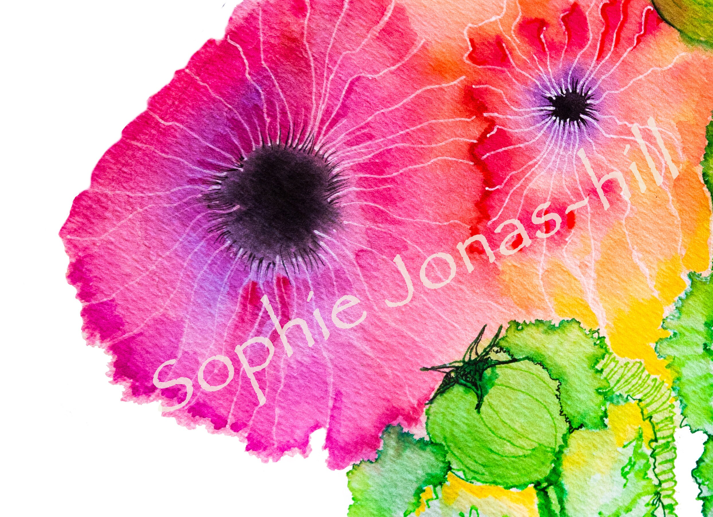 Rosa und rote Mohnblumen herunterladbare ClipArt | Etsy