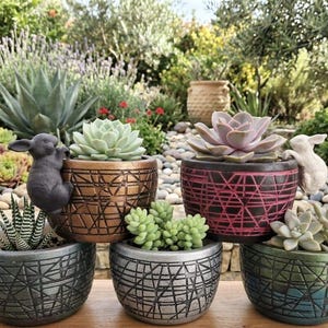 Puede incluir: Una colección de seis pequeñas macetas de cerámica decorativas, cada una llena de suculentas. Las macetas son de varios colores, incluyendo gris, bronce y verde, y presentan un patrón geométrico. Algunas macetas tienen pequeñas figuras de conejos.