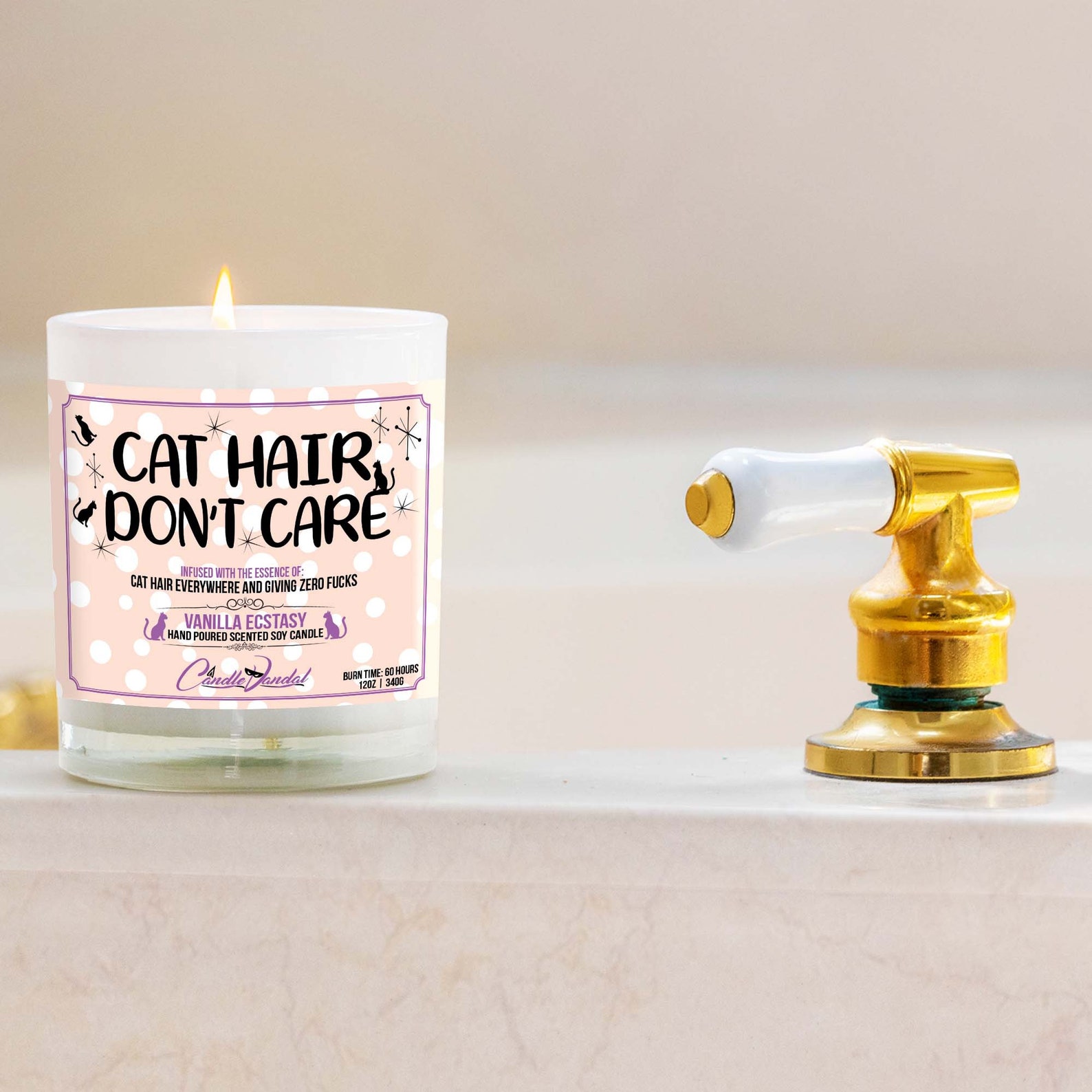 Funny Cat Candle Cat Hair Dont Care Vanilla Scented Etsy Australia