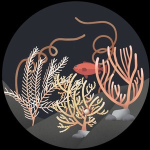 Op de afbeelding: Een digitale illustratie van een koraalrifsc&egrave;ne met een rode vis, koraal en zeewier. Het koraal is in tinten roze, oranje en geel. Het zeewier is lichtroze.