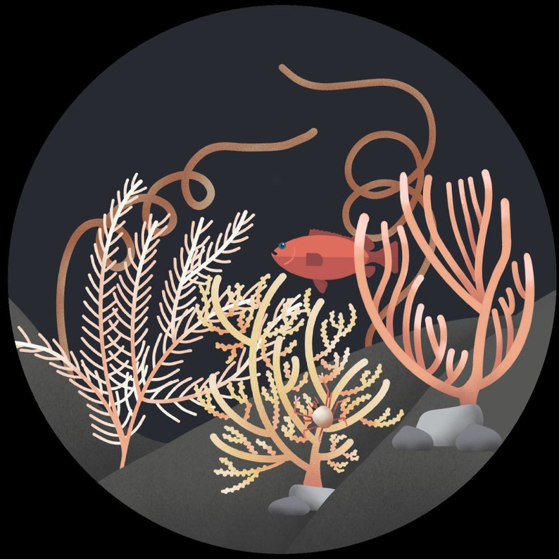 Op de afbeelding: Een digitale illustratie van een koraalrifsc&egrave;ne met een rode vis, koraal en zeewier. Het koraal is in tinten roze, oranje en geel. Het zeewier is lichtroze.
