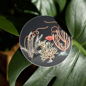 Op de afbeelding: Een ronde sticker met een zwarte achtergrond met een illustratie van koraal, zeewier en een rode vis. De sticker zit op een groen blad.