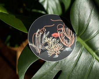 Deep-Sea Coral Sticker, Gulf of Mexico Corals, Coral Sticker