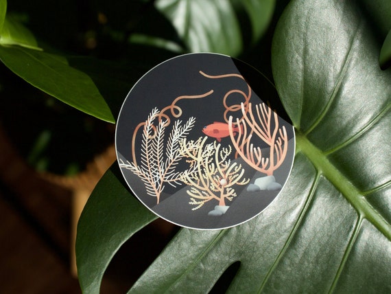 Deep-Sea Coral Sticker, Gulf of Mexico Corals, Coral Sticker