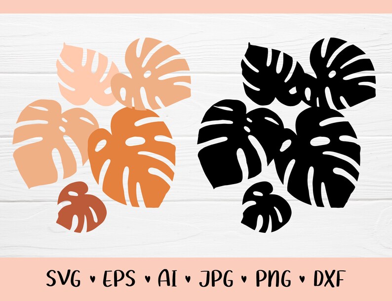Download Monstera SVG Instant Download Cut File Files For Cricut | Etsy