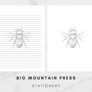 Queen Bee Art Stationery | Bee Decor | Letter Writing | Stationary Instant Download | Art Printable | Insect Design Paper 8.5x11