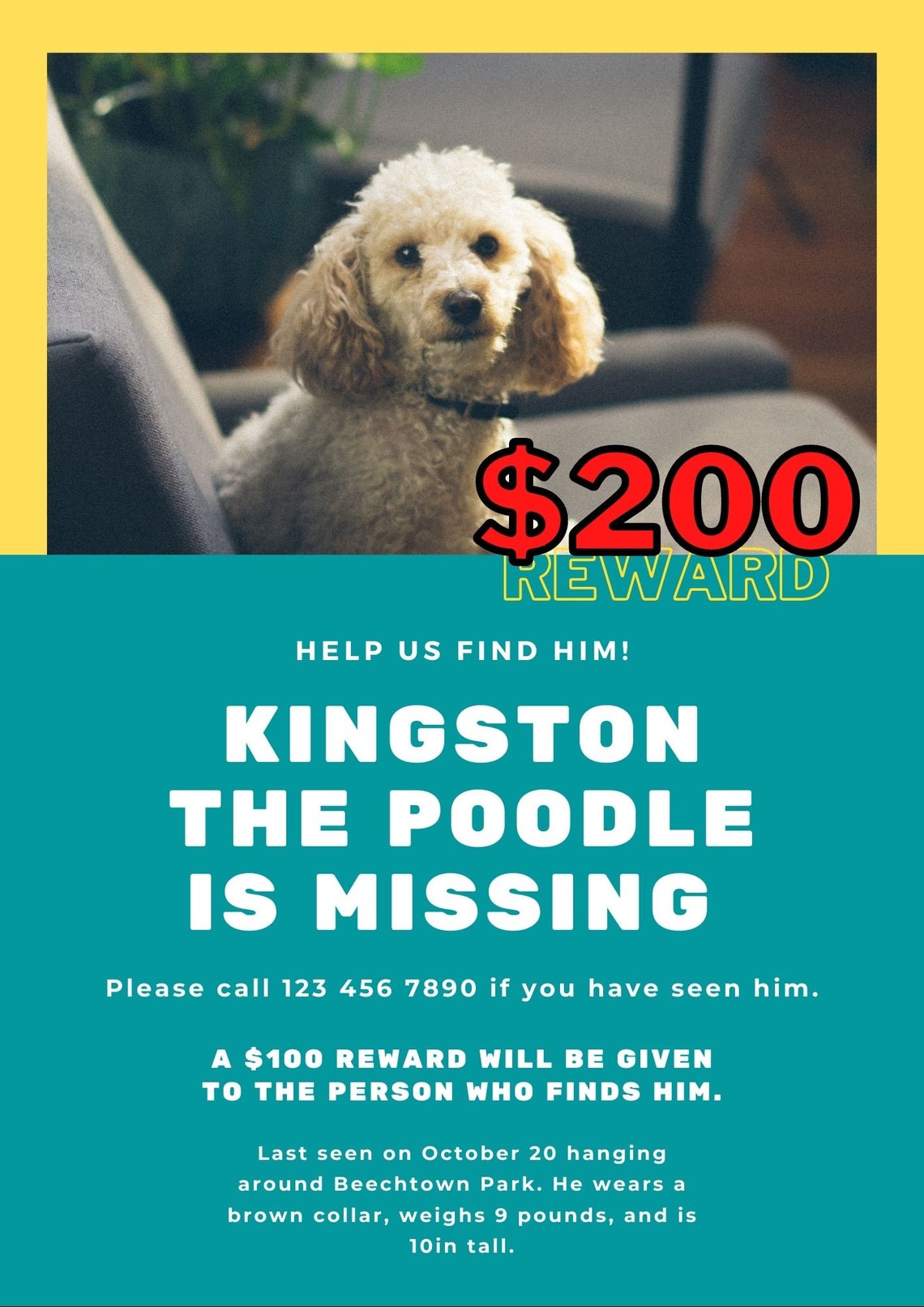 Lost Pet Flyer Template