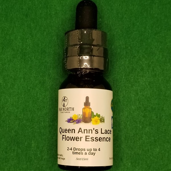 Queen Ann's Lace Flower Essence