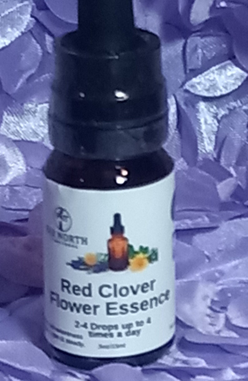 Red Clover Flower Essence Etsy