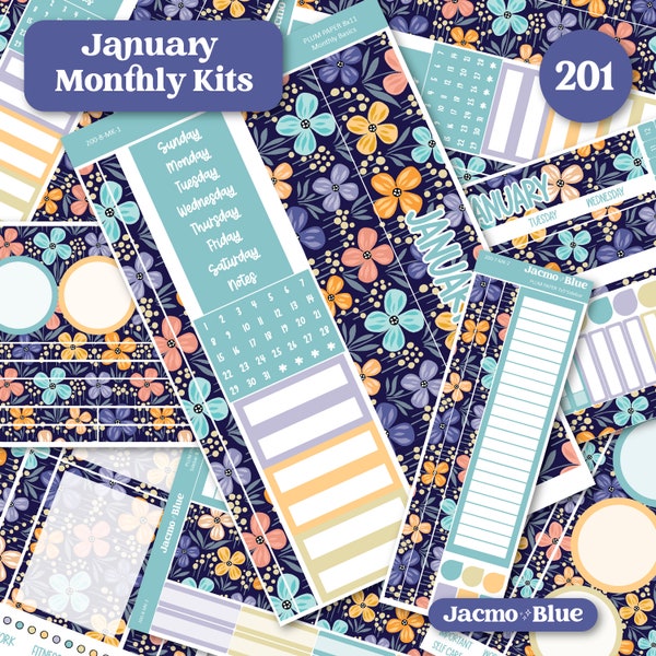 January Plum Paper Monthly Sticker Kit for 8x11 7x9 A5 Planners - Kit 201 January Planner Stickers