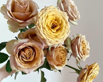 May include: A bouquet of light brown and yellow roses with green stems.