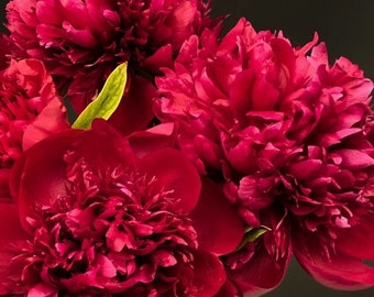May include: Close-up of vibrant red peonies with layered petals and a few green leaves against a dark background. The flowers are in full bloom, showcasing their lush texture and rich color. The image highlights the natural beauty of the floral arrangement.