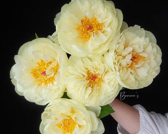 May include: A bouquet of pale yellow peonies with bright yellow and orange centers against a black background. The flowers are in full bloom, with multiple layers of delicate petals. The image includes the text "Bonnie's".