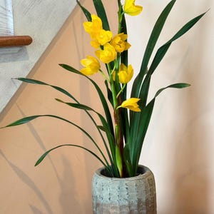 May include: A bouquet of yellow orchids in a gray ceramic vase with a textured surface. The vase is sitting on a woven surface.