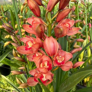 May include: A set of three ceramic mugs with a speckled, matte finish. The mugs are in shades of cream, light gray, and dark gray. Each mug has a simple, minimalist design, perfect for coffee or tea.