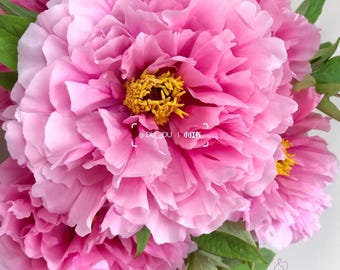 May include: A bouquet of vibrant pink peony flowers with ruffled petals and bright yellow stamens at the center. Green leaves are visible among the blossoms. The text @DU_DU and Chinese characters are overlaid on the central flower petals.
