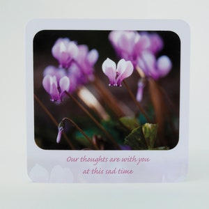 Cyclamen arrondi coin Sympathy Card